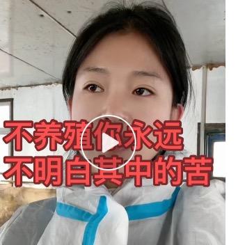 忆苦思甜