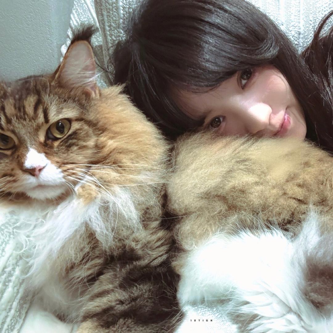 妙妙*🌱