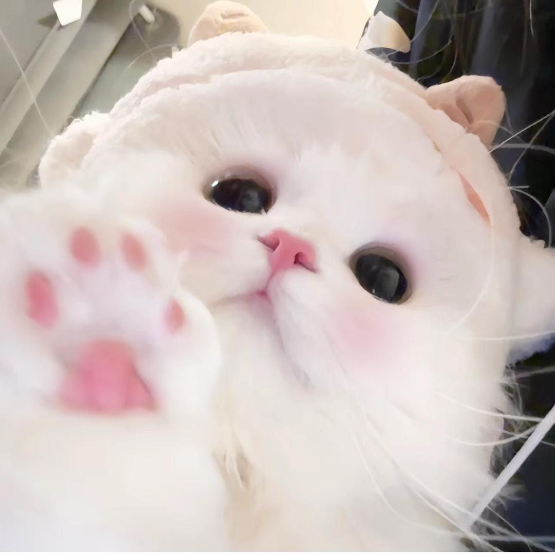 小田不甜_