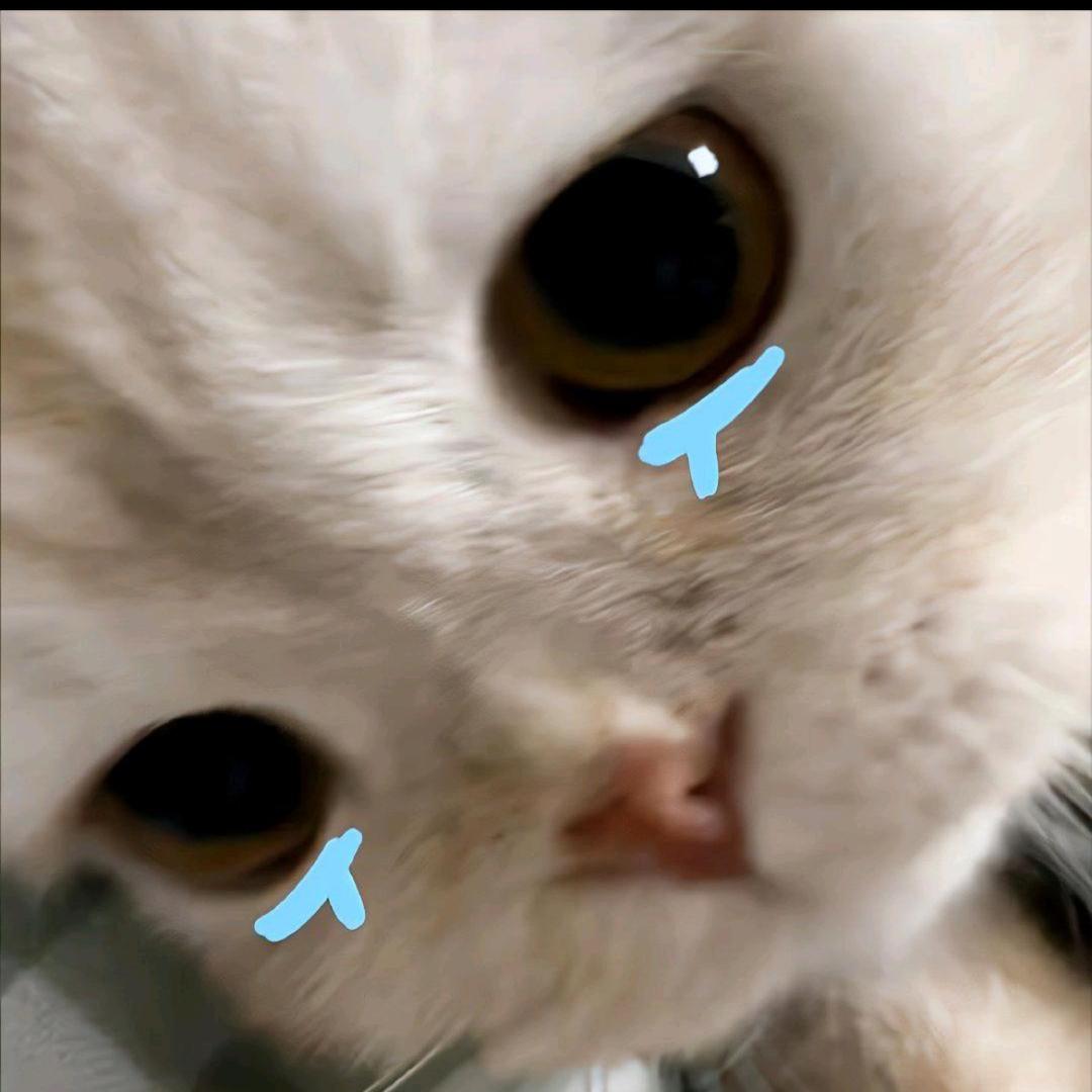 oo