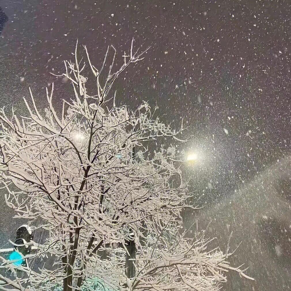 阳春白雪