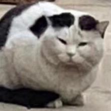 你干哞哎呦