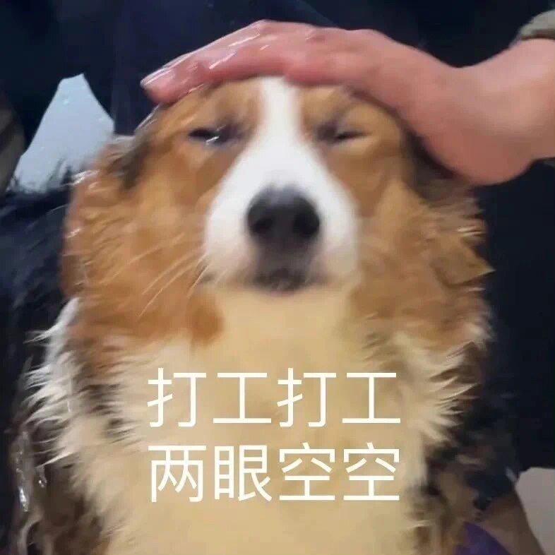 一个五手作潮玩店