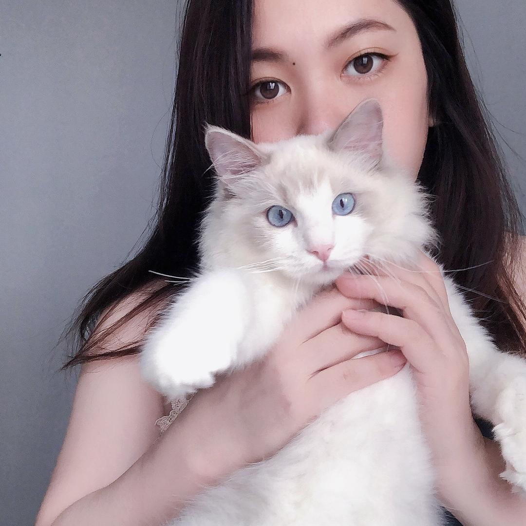 莹儿