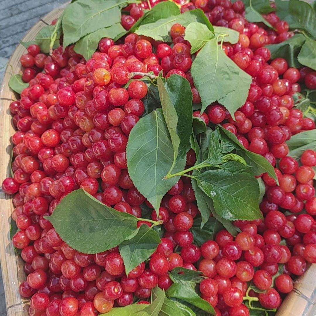 凯斯农产品销售店