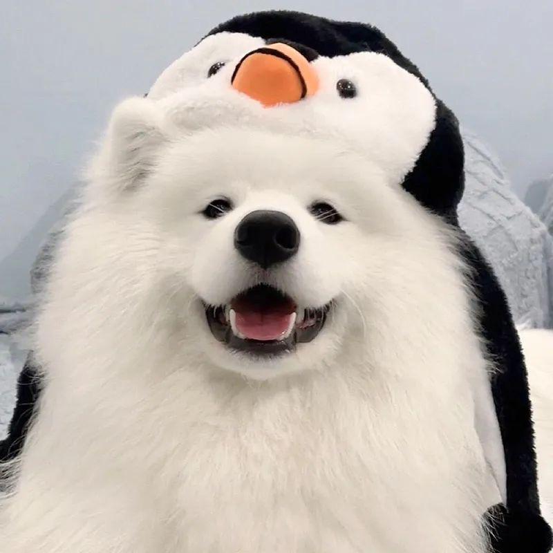 玛卡巴卡