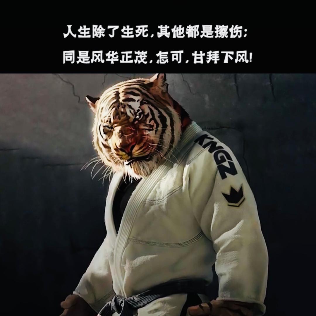 小卢半挂司机
