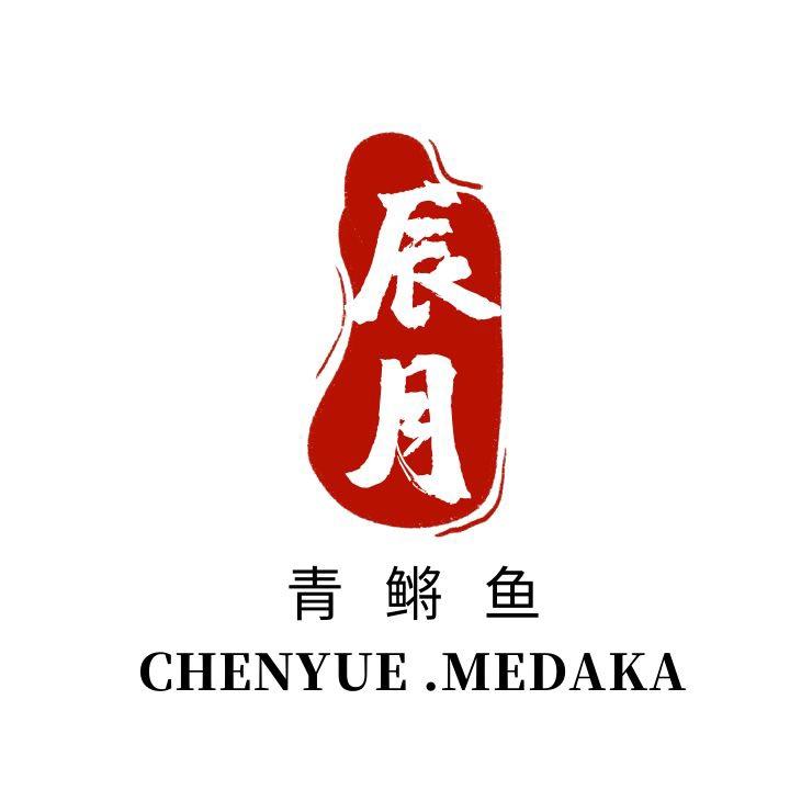 辰月青鳉工作室