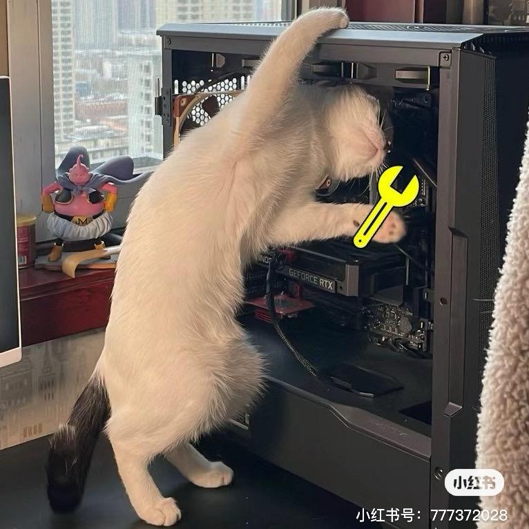 神也拼我好饭