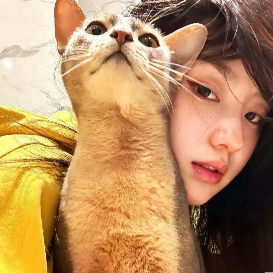 P̶E̶A̶C̶E̶M̶I̶N̶U̶S̶