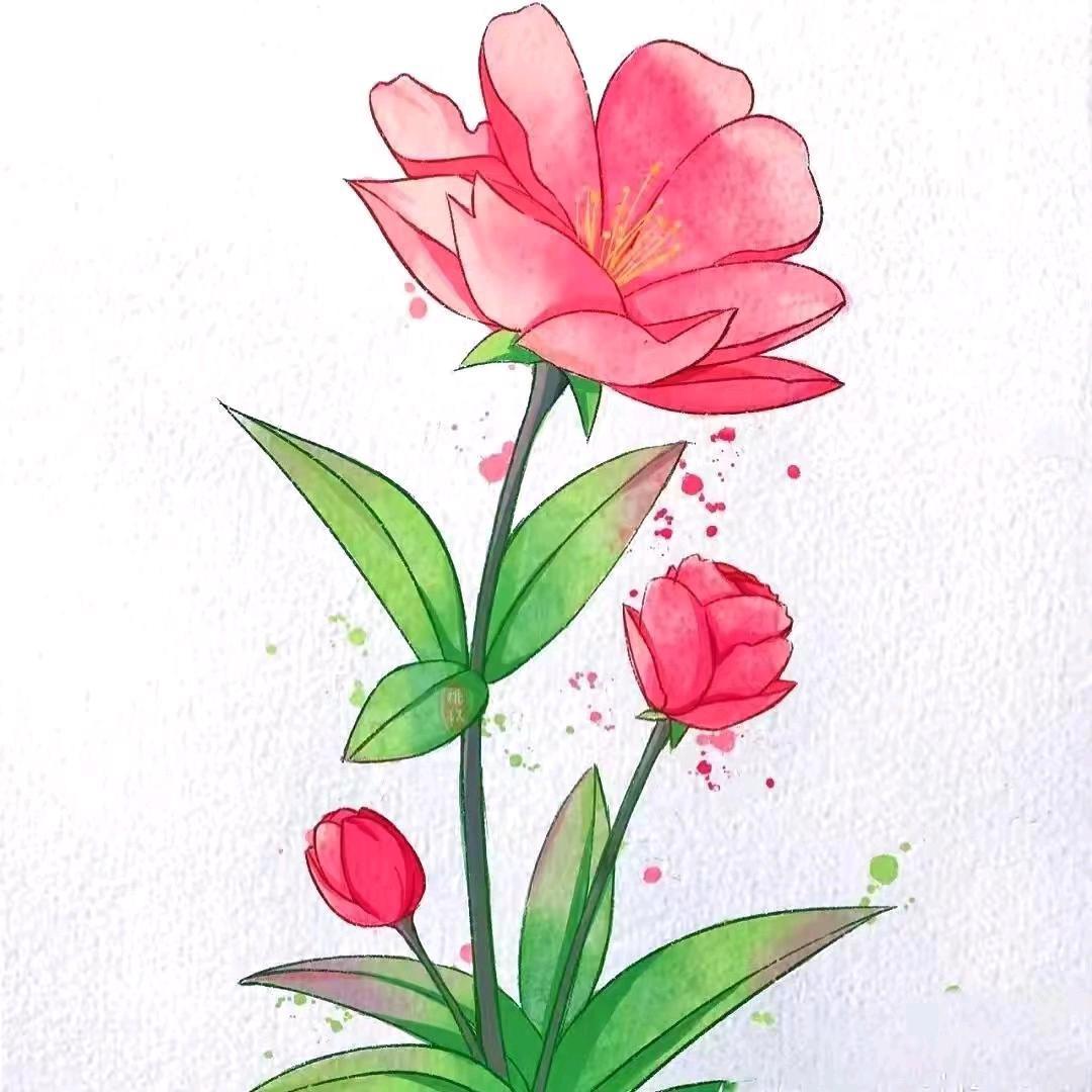 通城满园春花卉