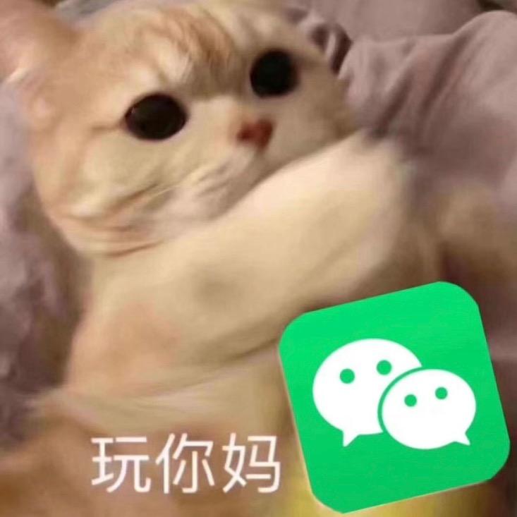 LLxingY