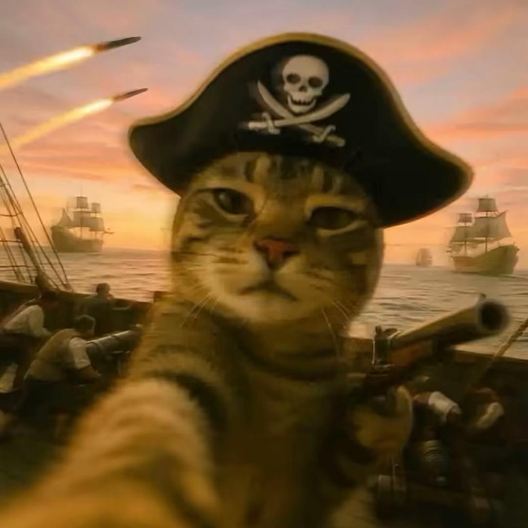 哈哈哈哈哈哈哈