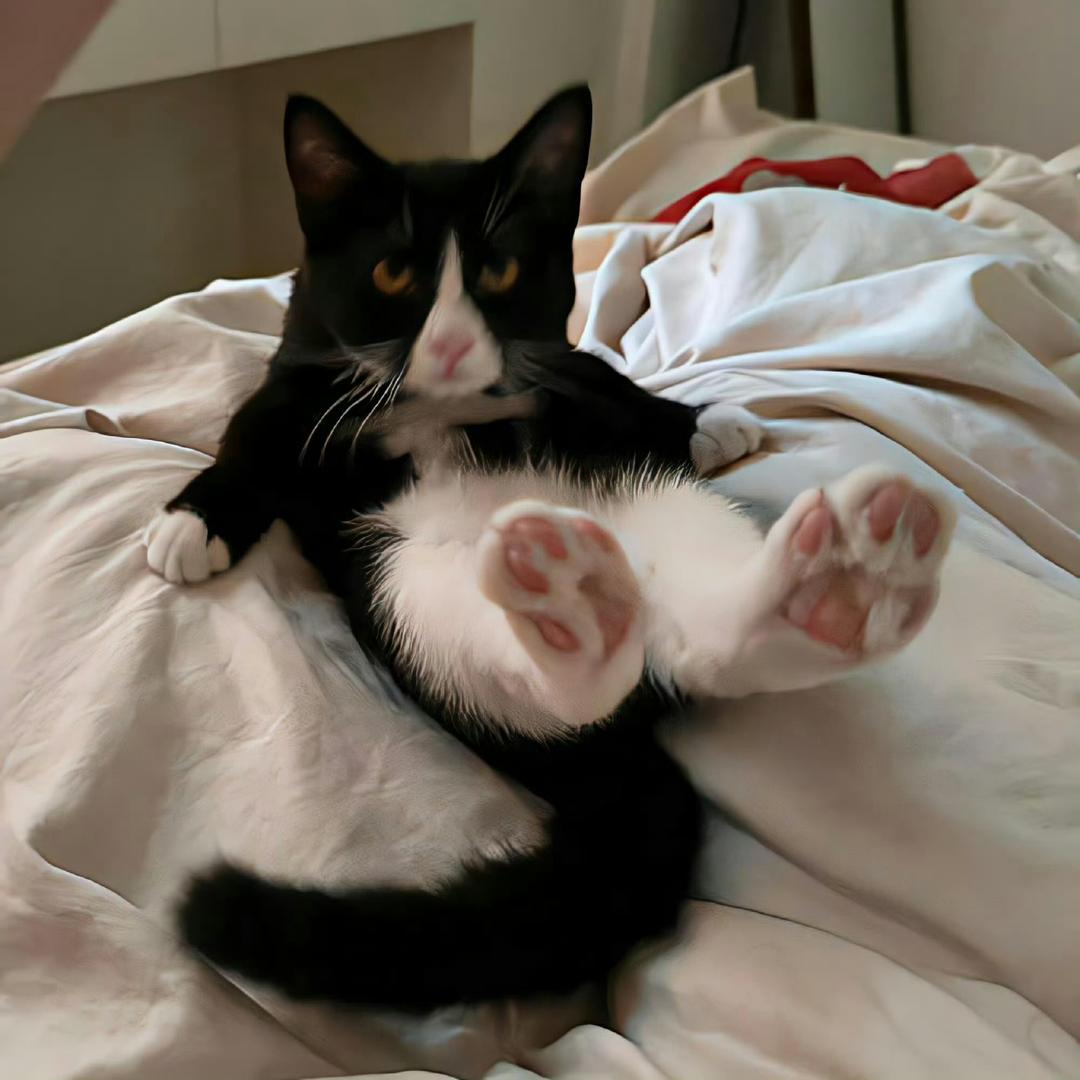 泛泛