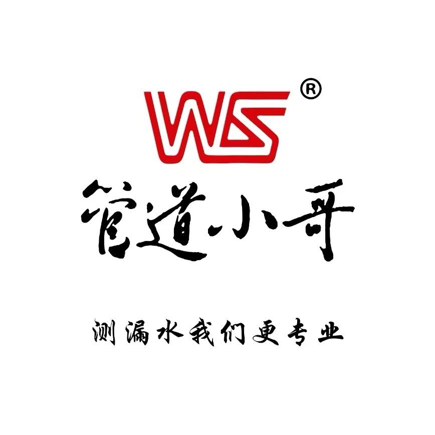 修水管的王帅