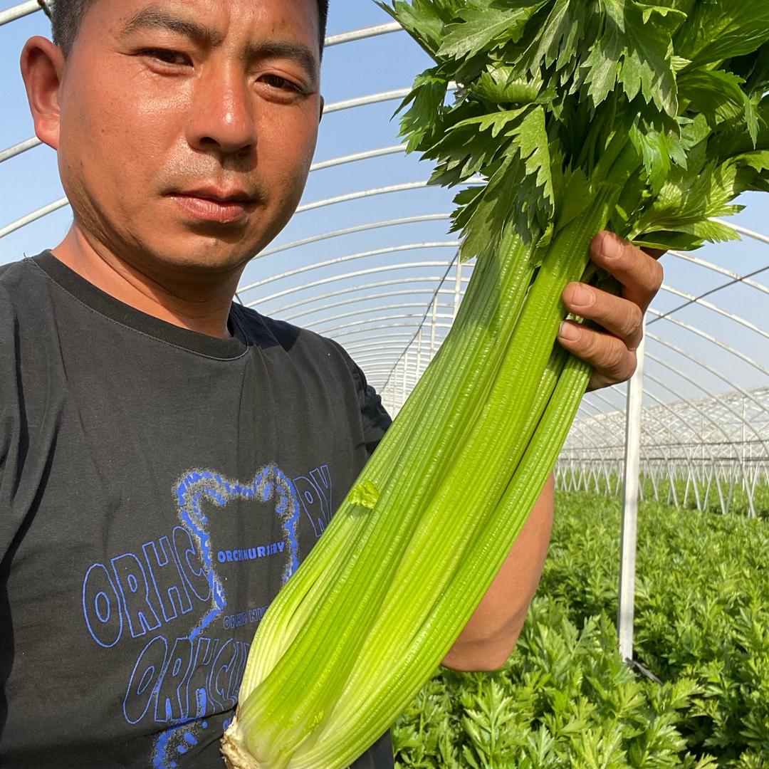 小胡菜园