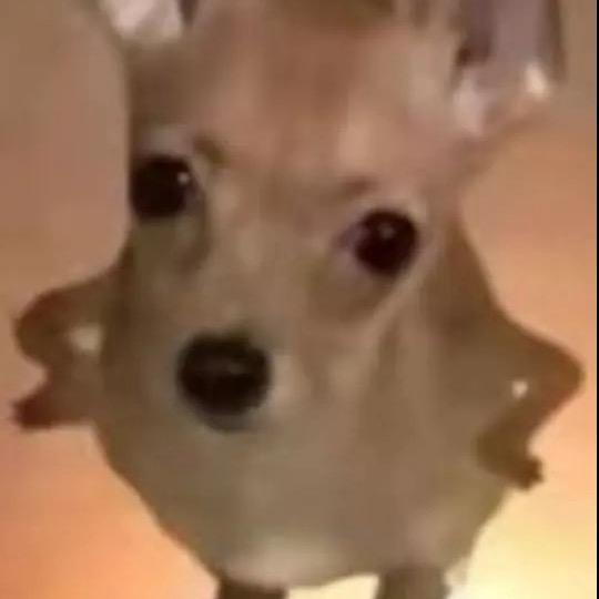 欧欧ō