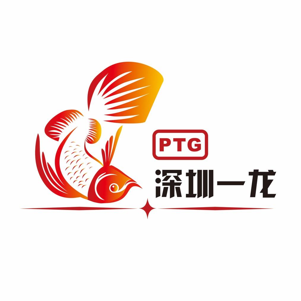 深圳一龙水族-平头哥