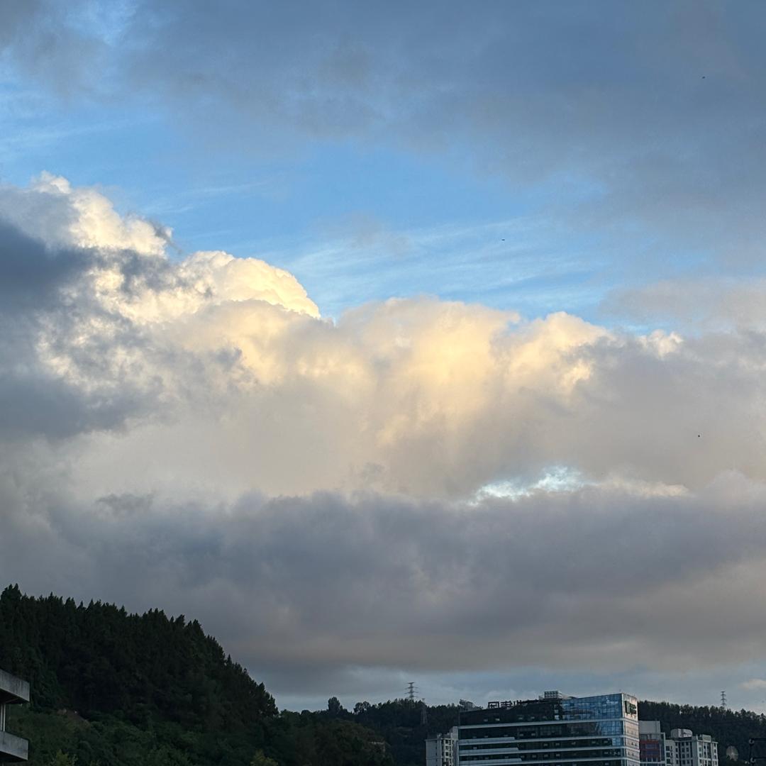 小麦宝宝