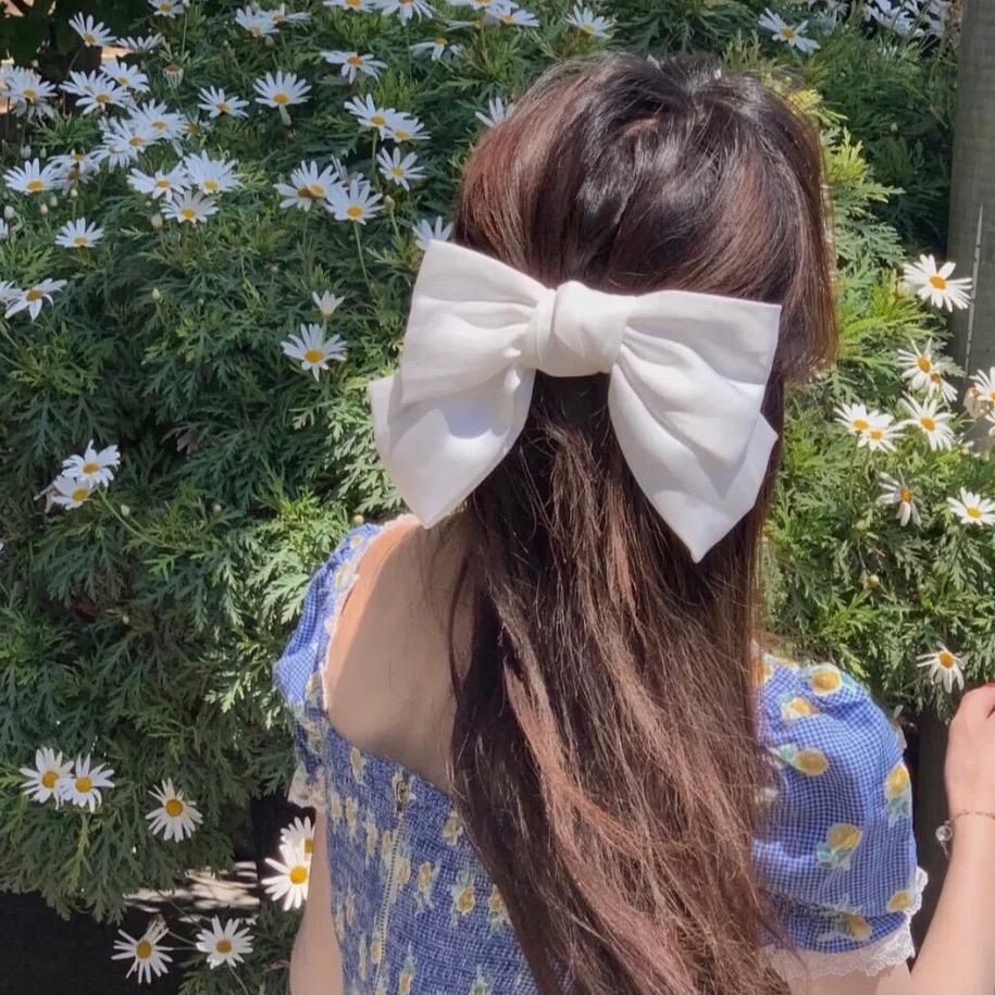 星芯绿植