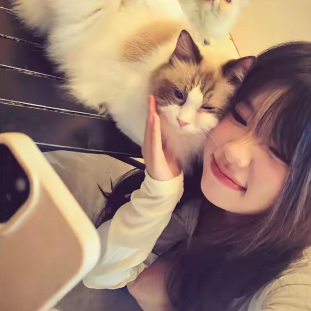 球球咪