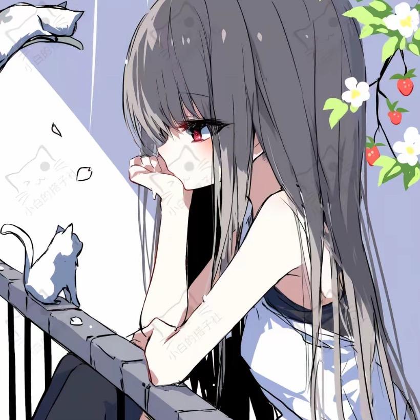 白小宝