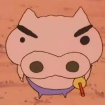 溜 溜 球