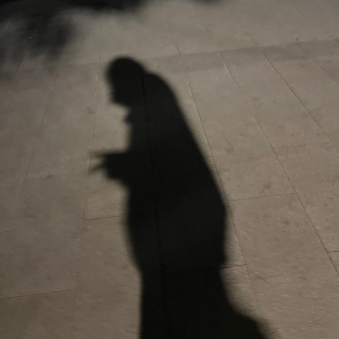 每天都在磕瓜子