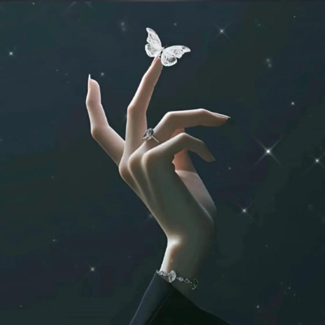 云典穿戴甲源头批发