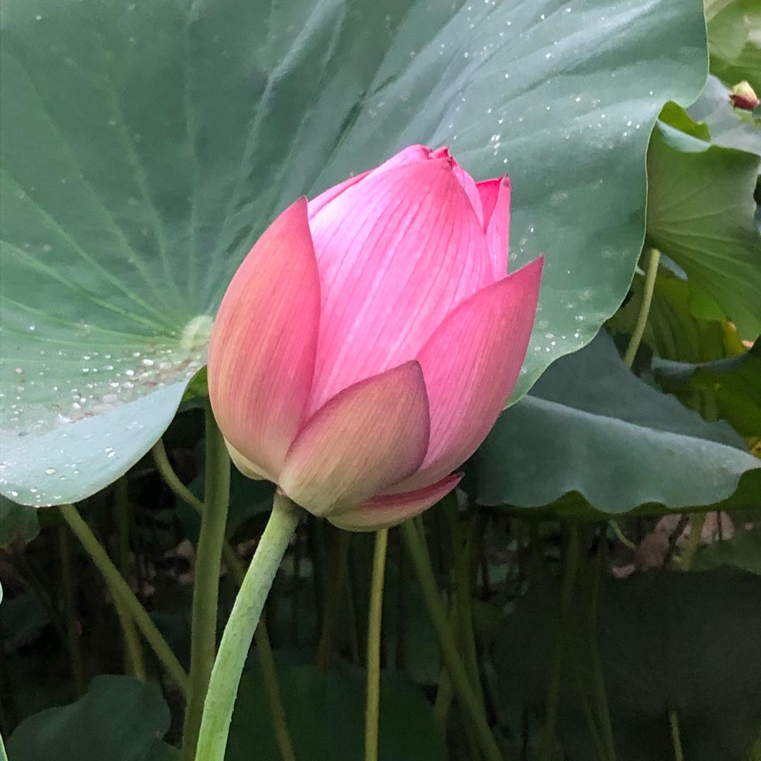 胥二姐🤪🌹