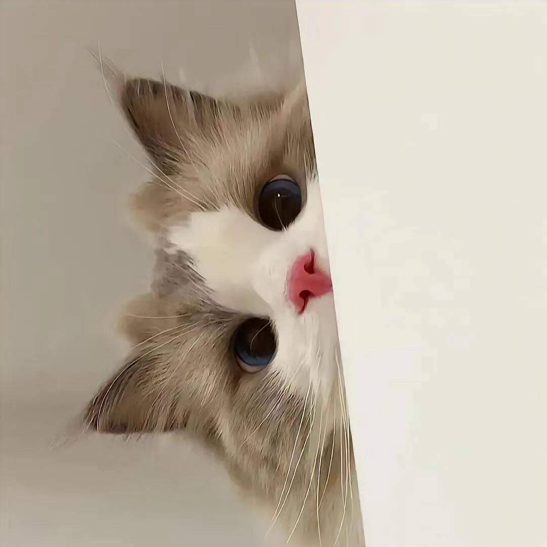 睫空间美妆旗舰店