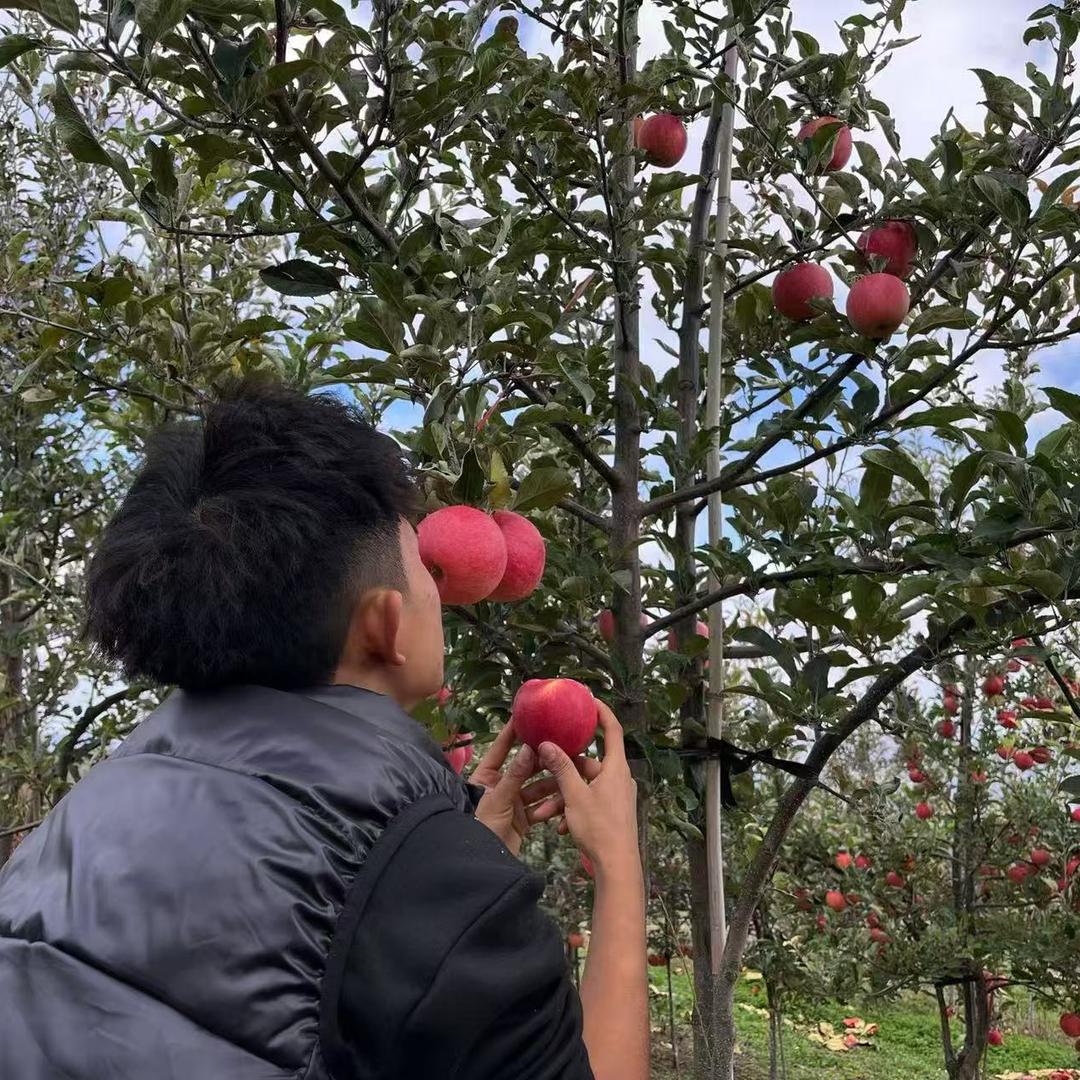 新农人：小陈🍎