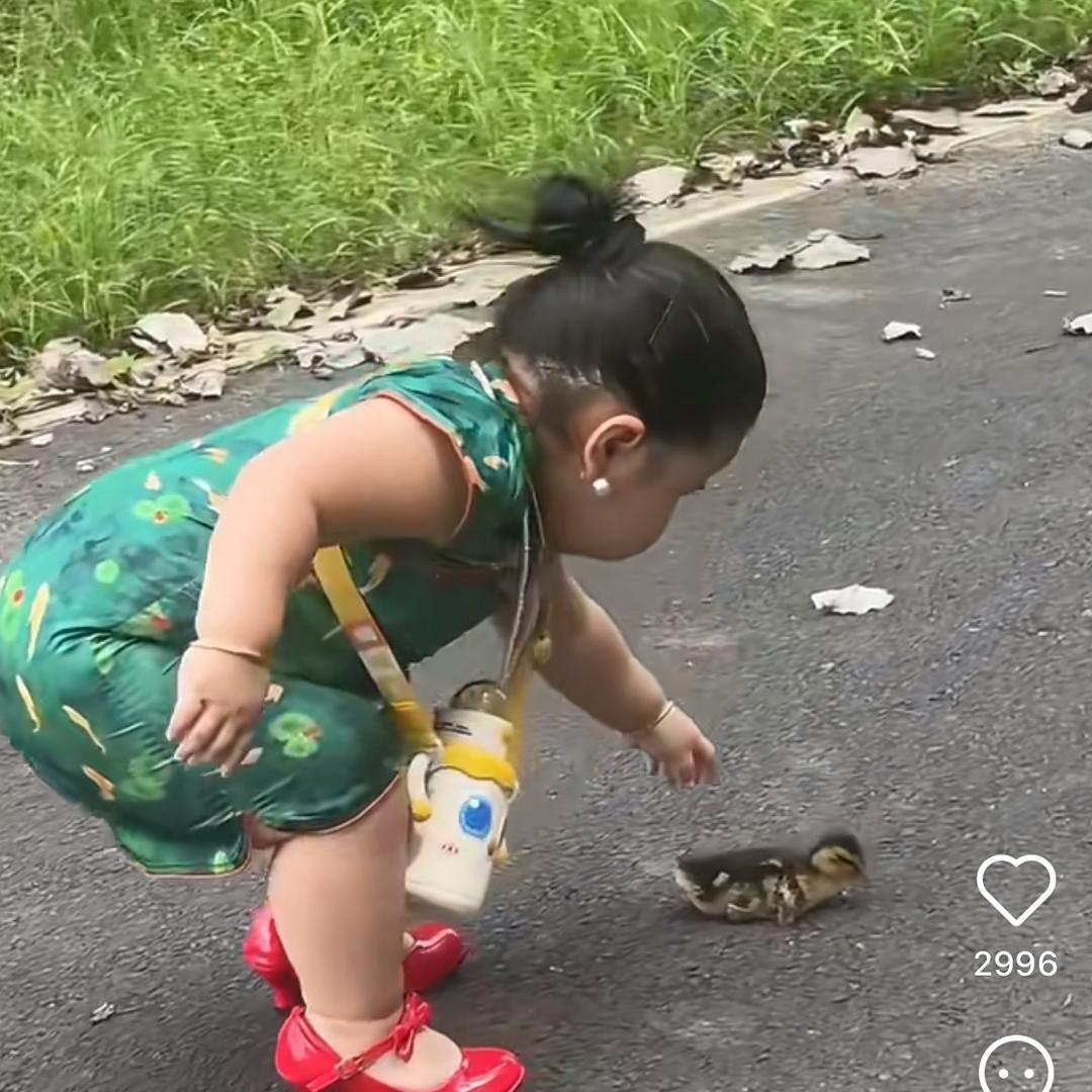 蟑螂药（广东工厂）