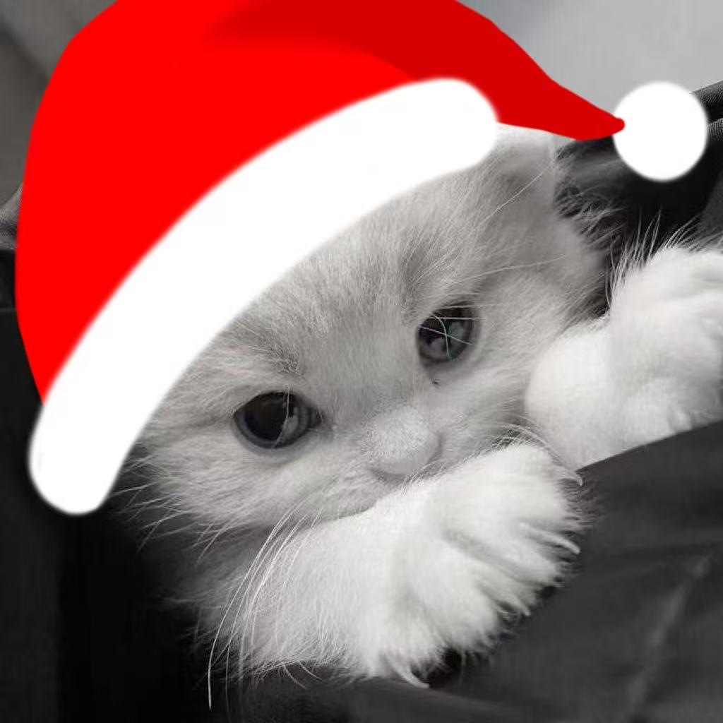 ^_꒦ິ