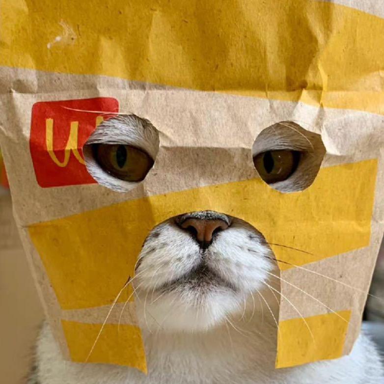 小祺