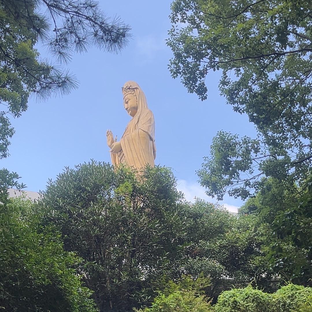 做好自己，(拒绝连赞)