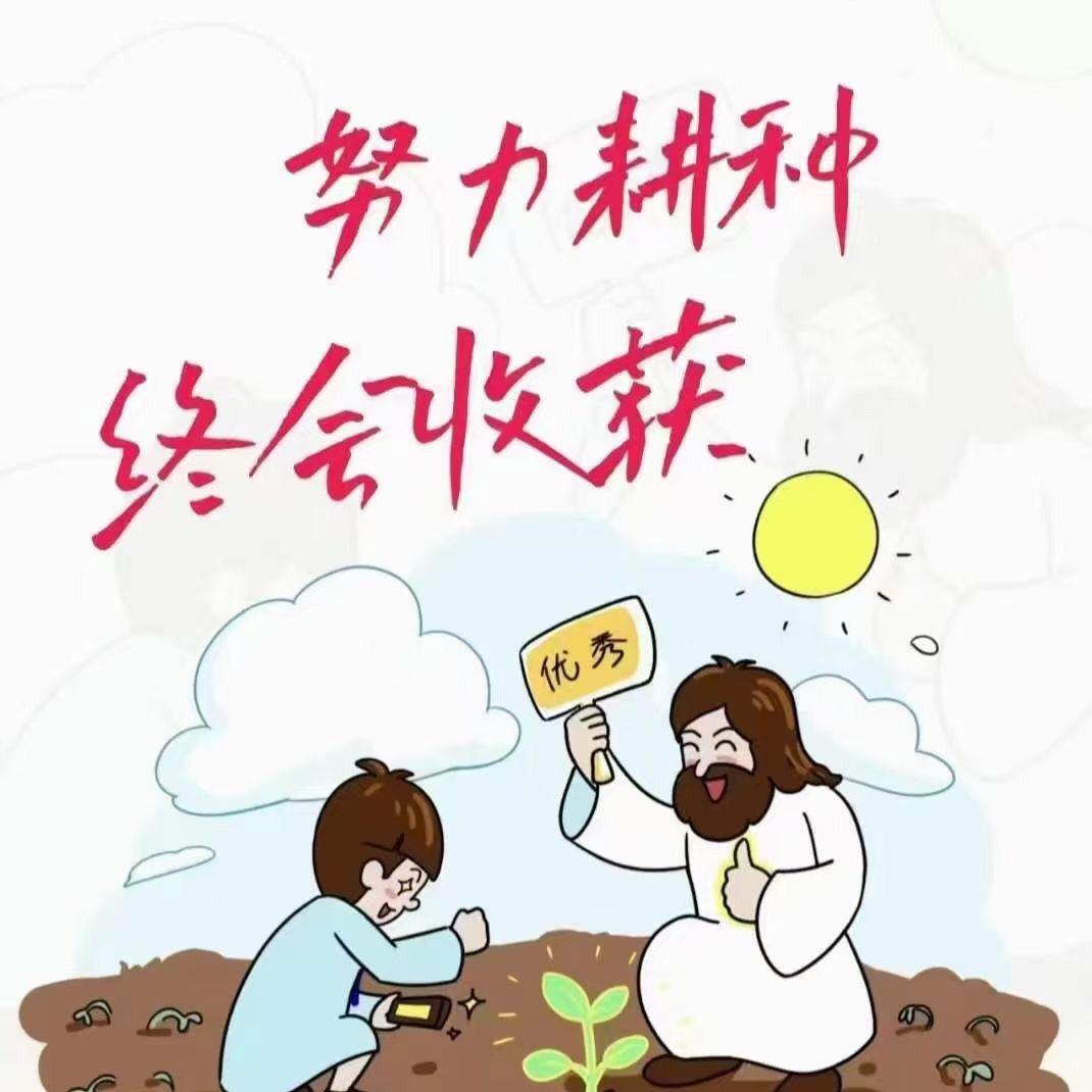 思智教育~升学规划