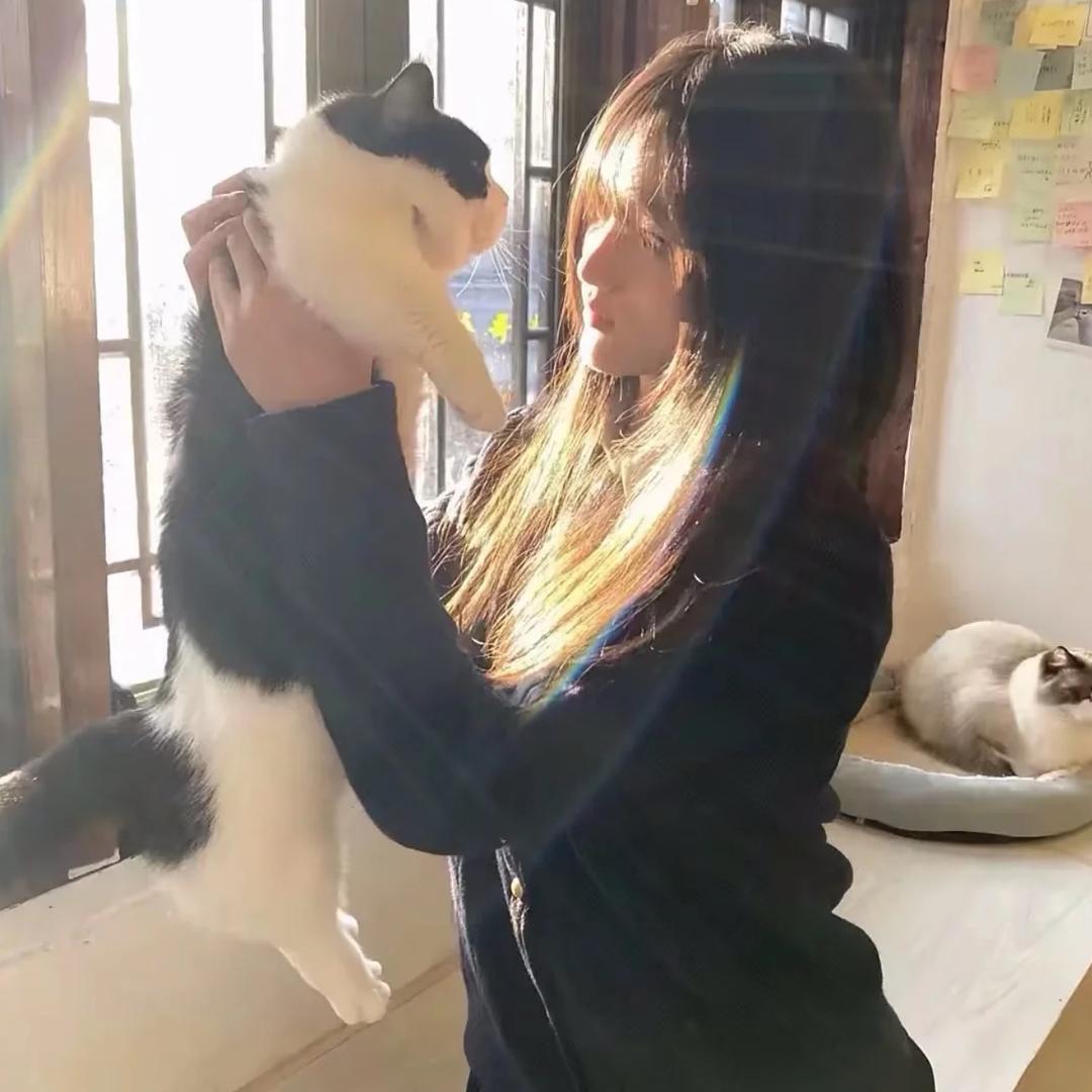 想 我 了 莓-