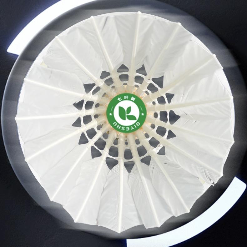 七叶树体育用品