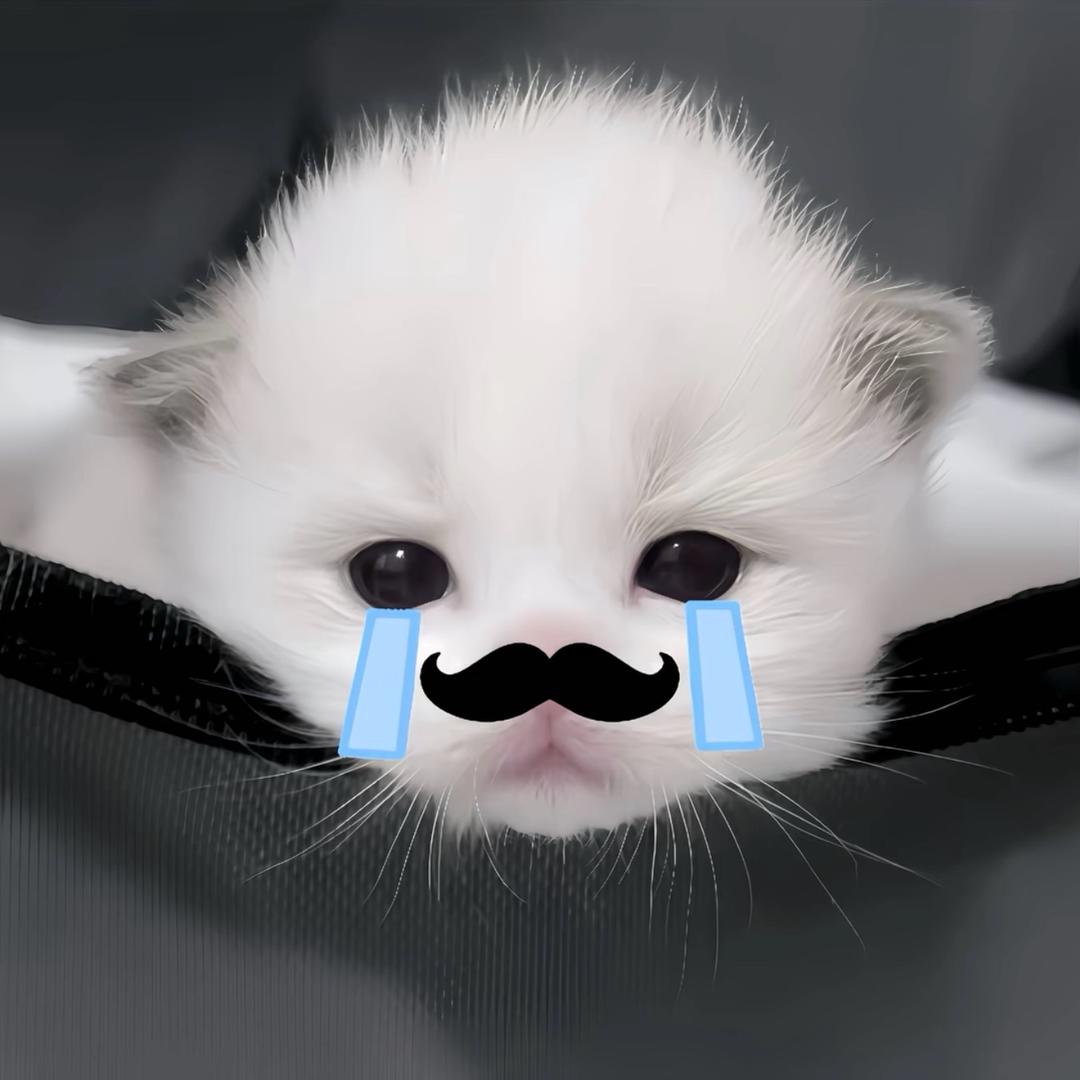 ㅤㅤㅤㅤㅤㅤㅤㅤ