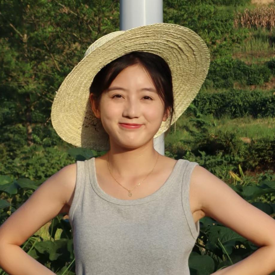星辰美美