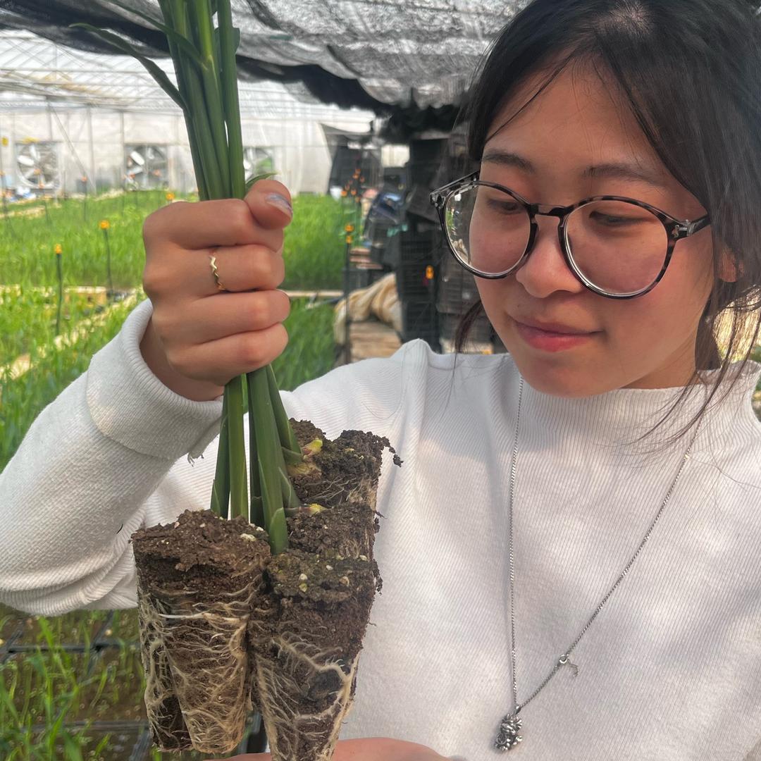 生姜技术指导-陆指导