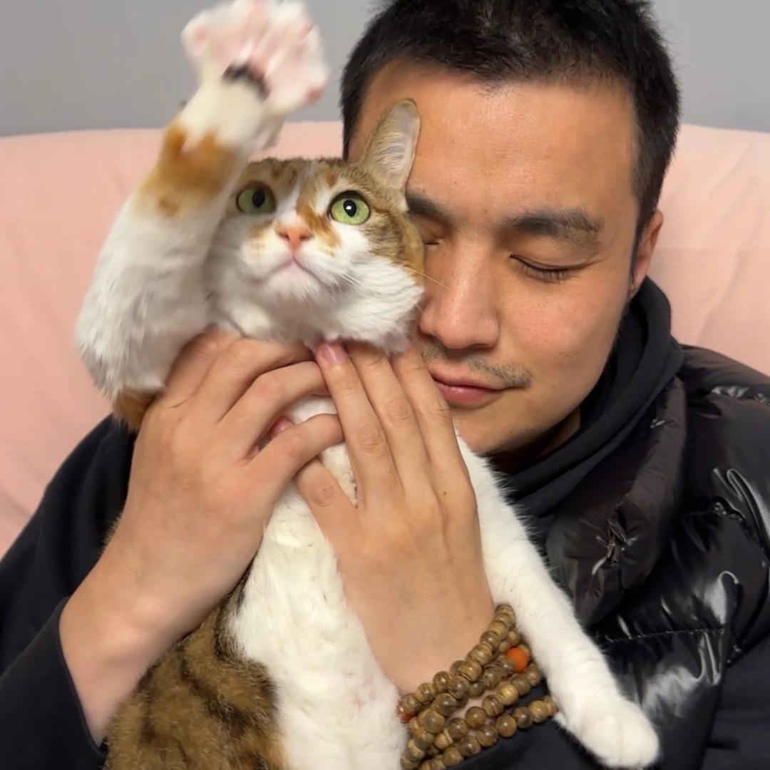 兔羊戈