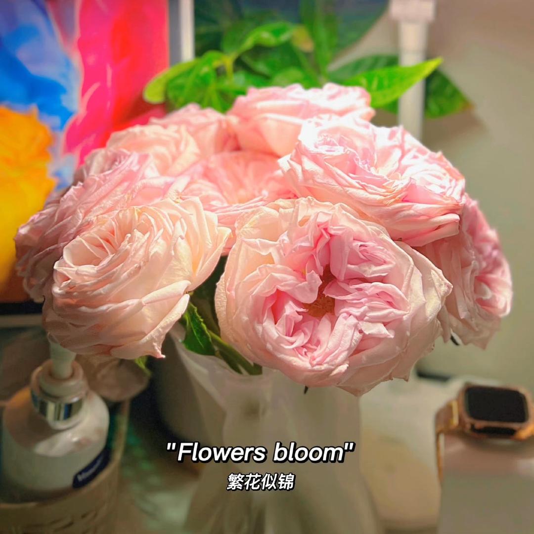 阳光彩虹小白马🌈