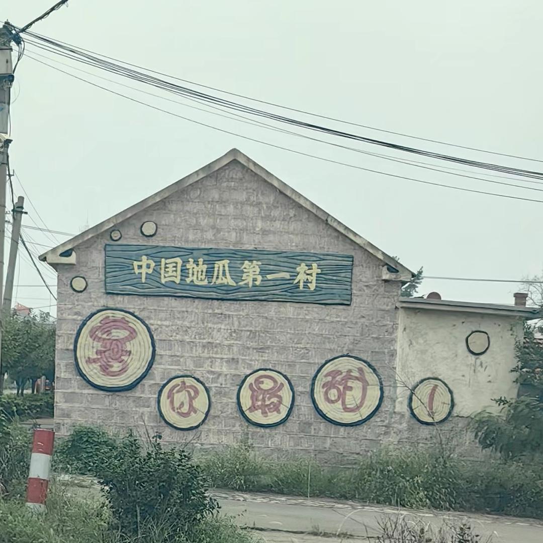 山东烟薯农场