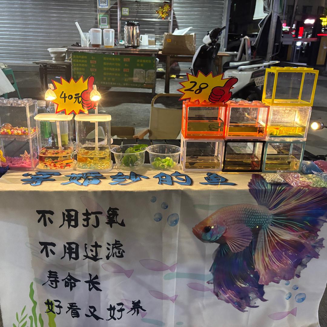 穿婚纱的🐟