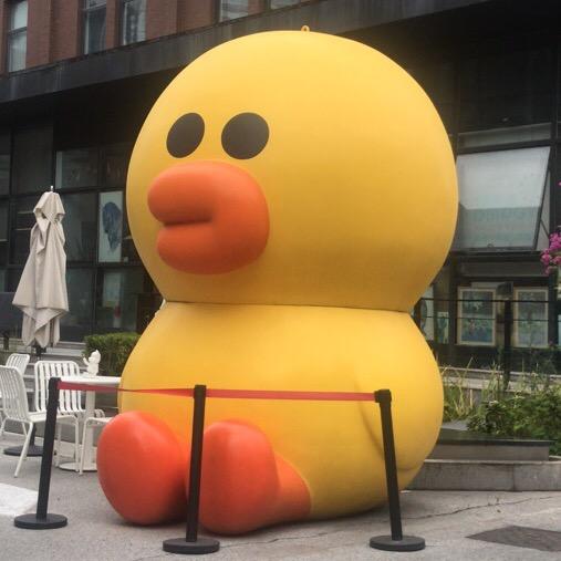 陈小设
