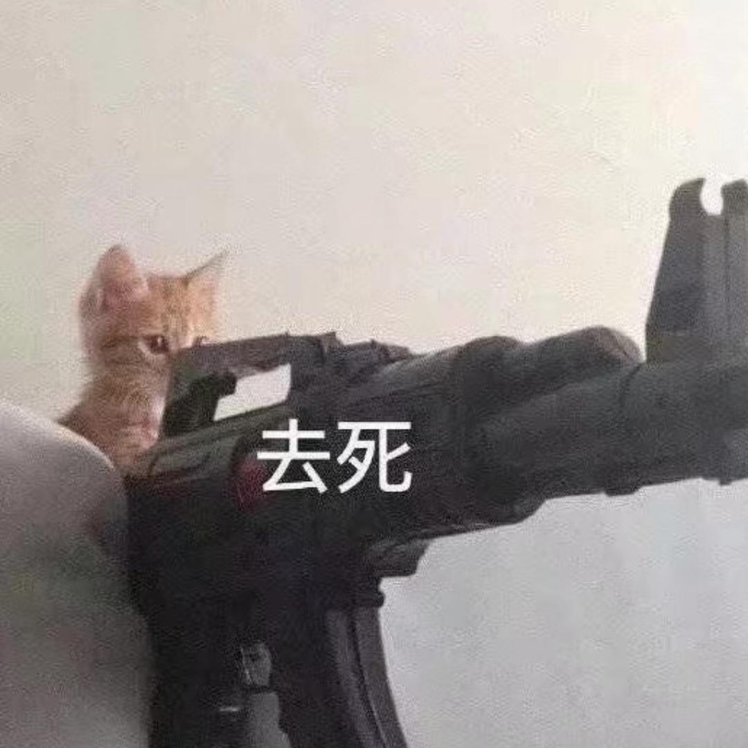 肥肥🐟🎀