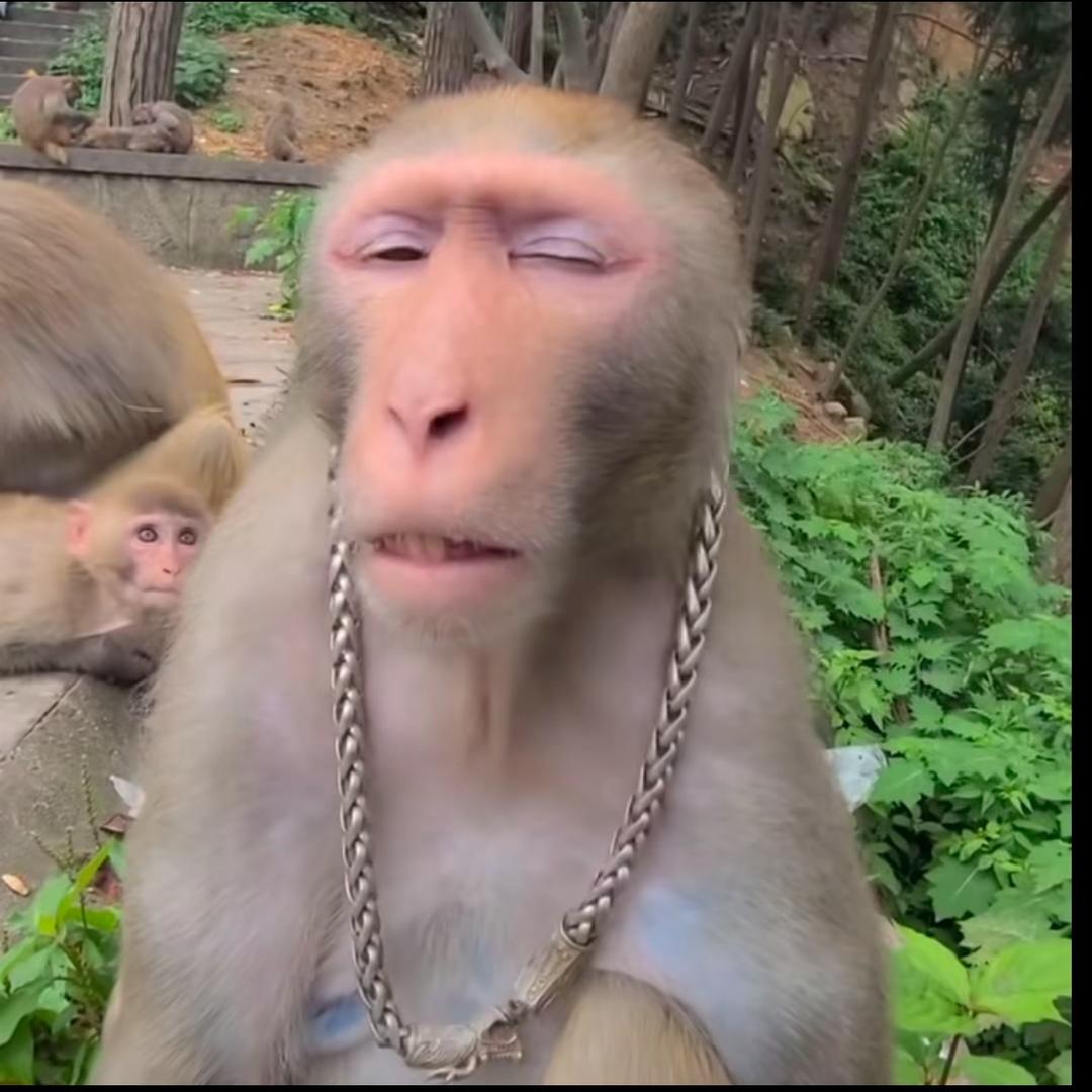 Slg执念卡牌游戏直播