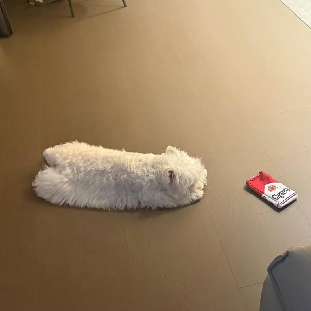 爸爸